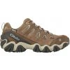 Oboz Footwear Women's Sawtooth II Low B-DRY