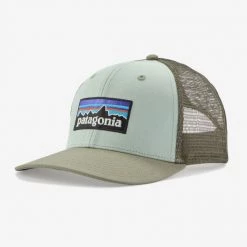 Patagonia Hats P-6 Logo Trucker Hat