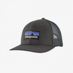Patagonia Hats P-6 Logo Trucker Hat