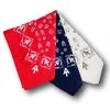 Appalachian Trail Conservancy AT Logo Bandana - Assorted