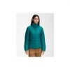 The North Face Women's Stretch Down Jacket Sale
